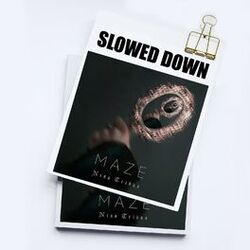 Cover of Maze (Slowed + Reverb)