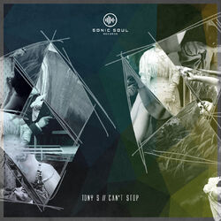 Cover of Can't Stop