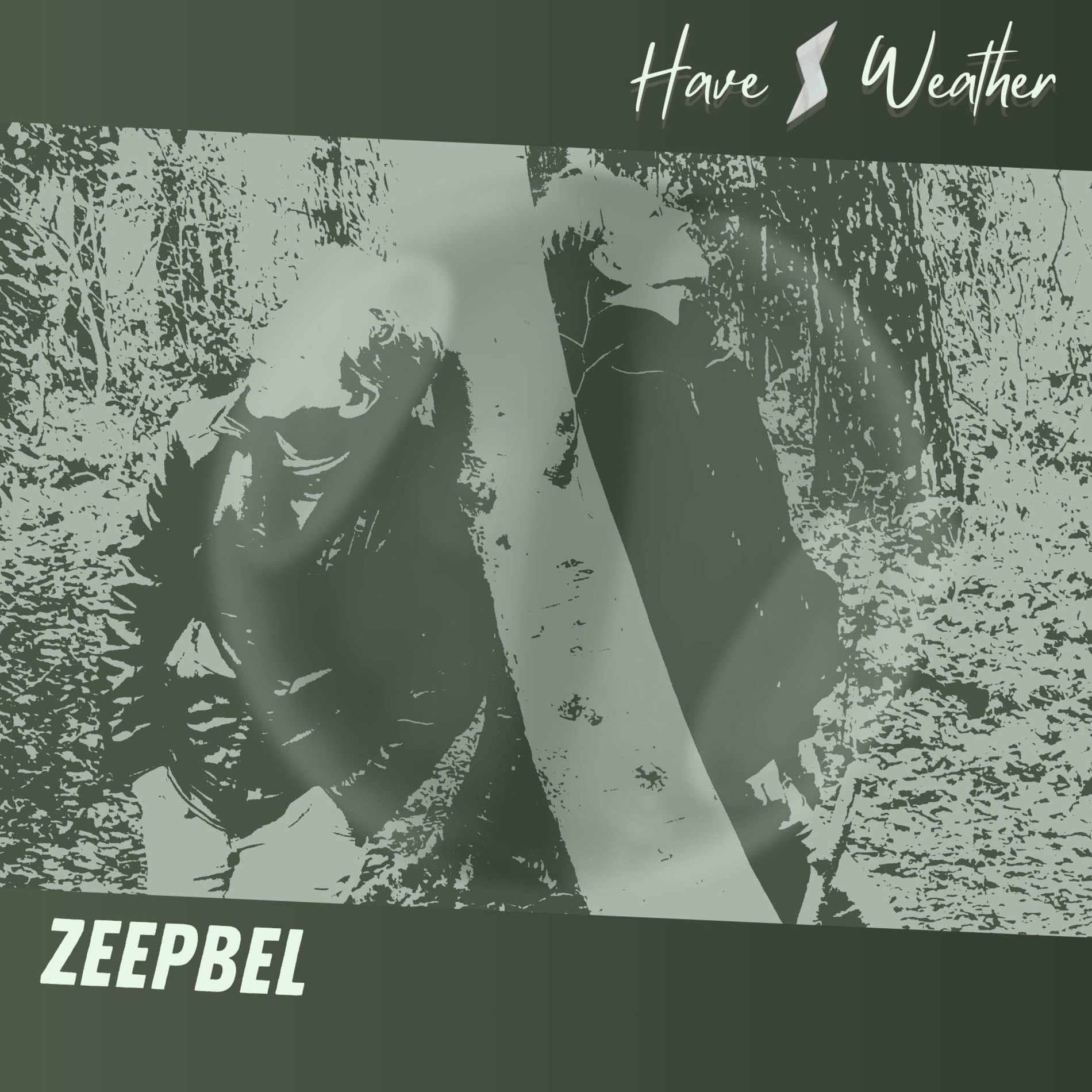 Album cover of Zeepbel