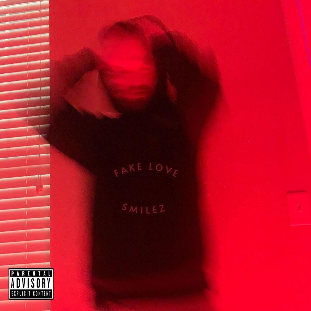 Picture of Fake Love