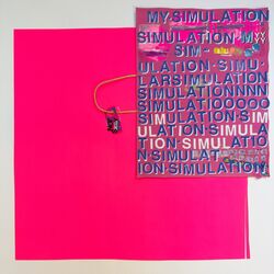 Cover of My Simulation