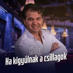 Cover of Ha kigyúlnak a csillagok