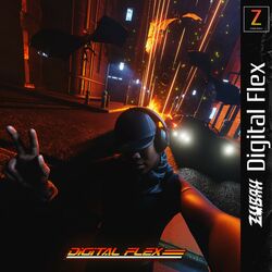 Cover of Digital Flex