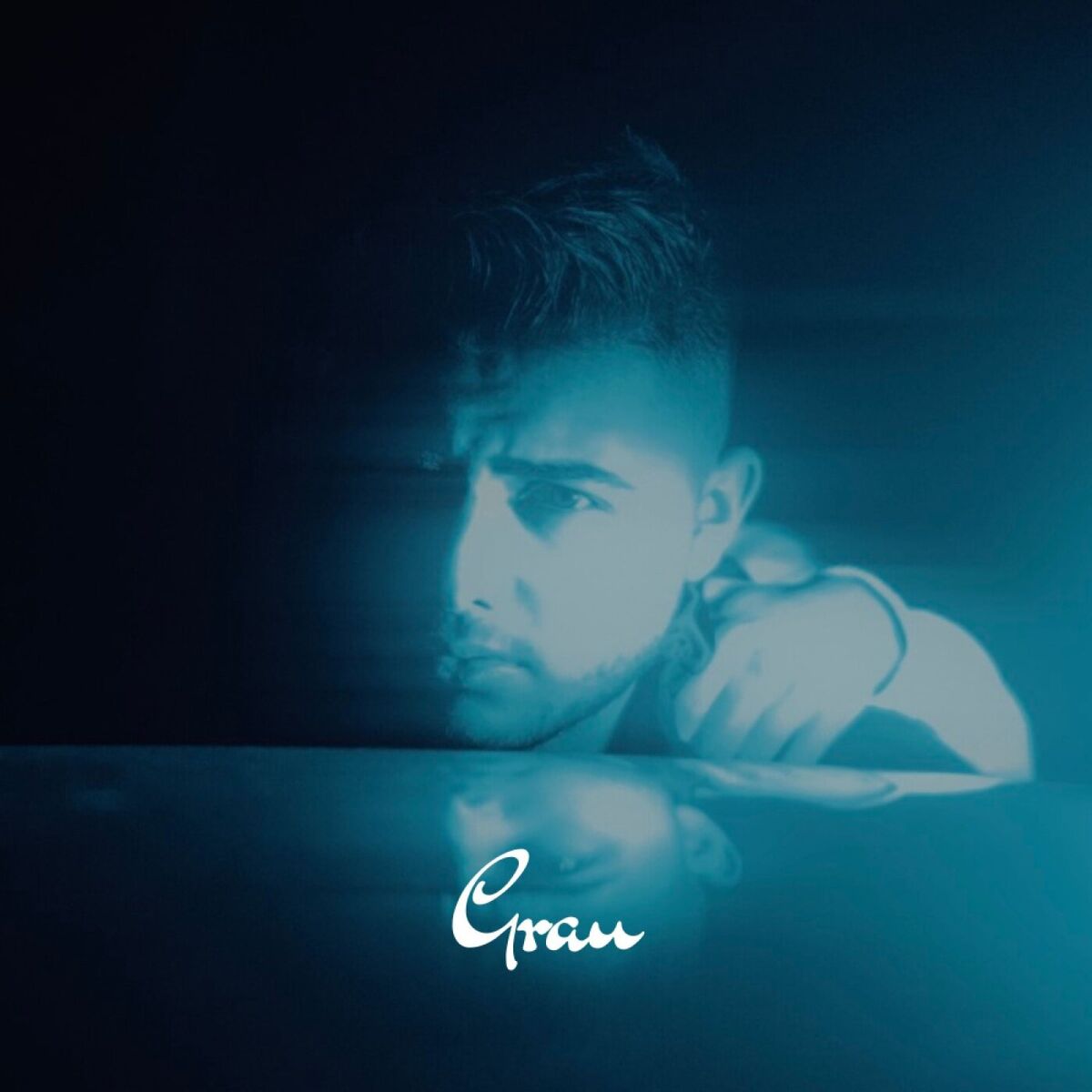 Album cover of Grau