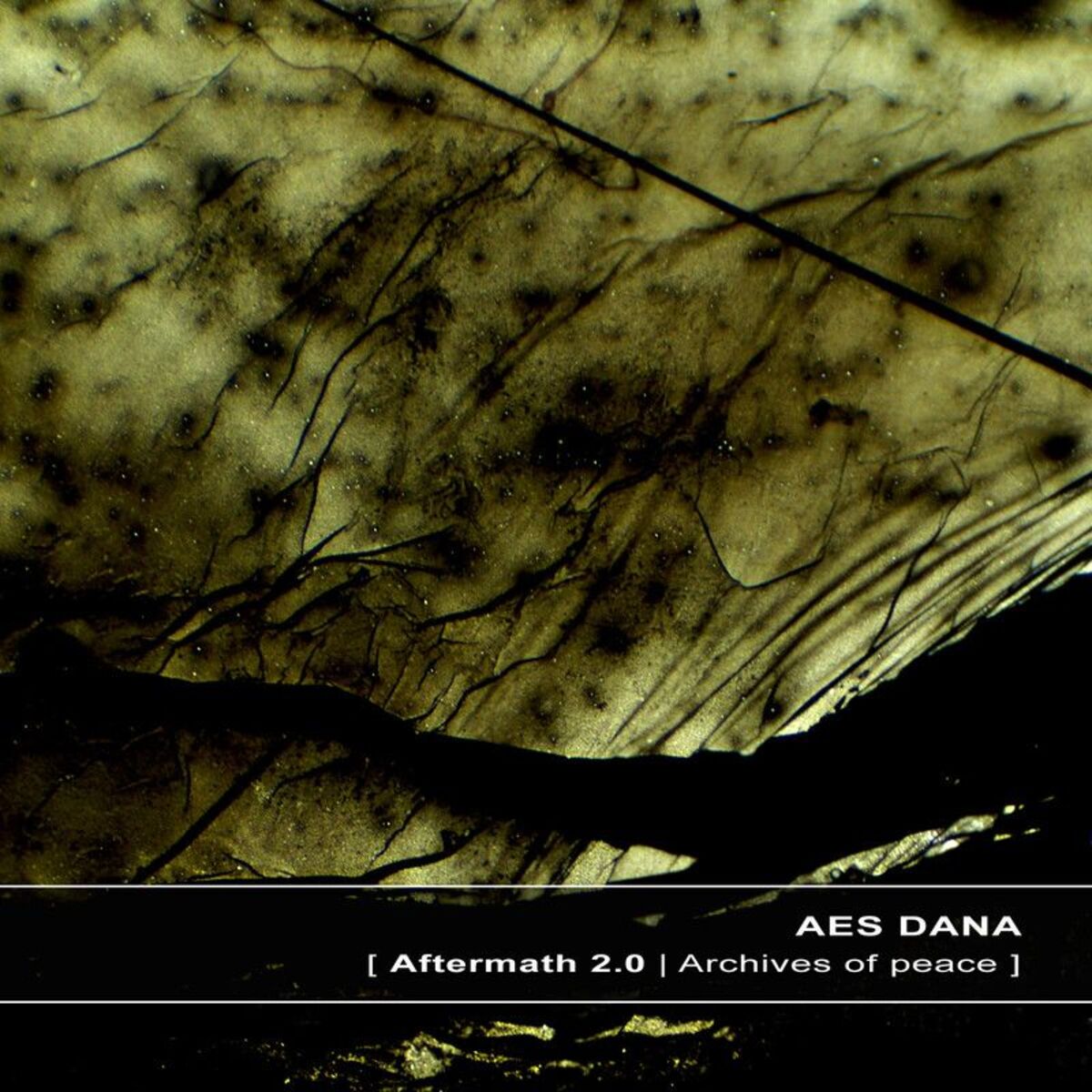 Album cover of Aftermath 2.0 | Archives of Peace