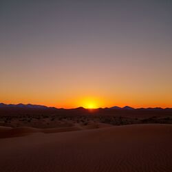 Cover of dunes