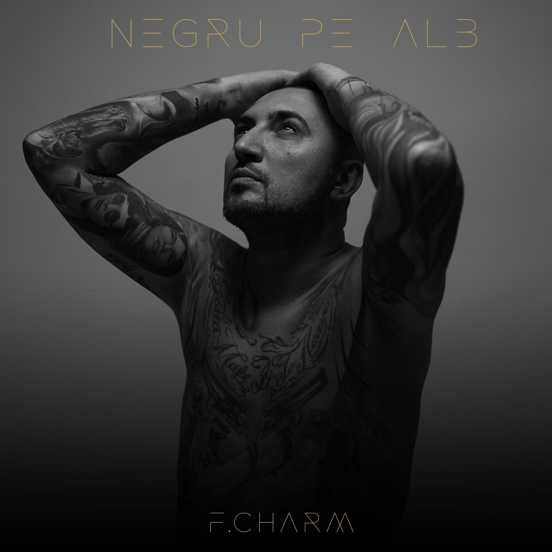 Album cover of Negru Pe Alb