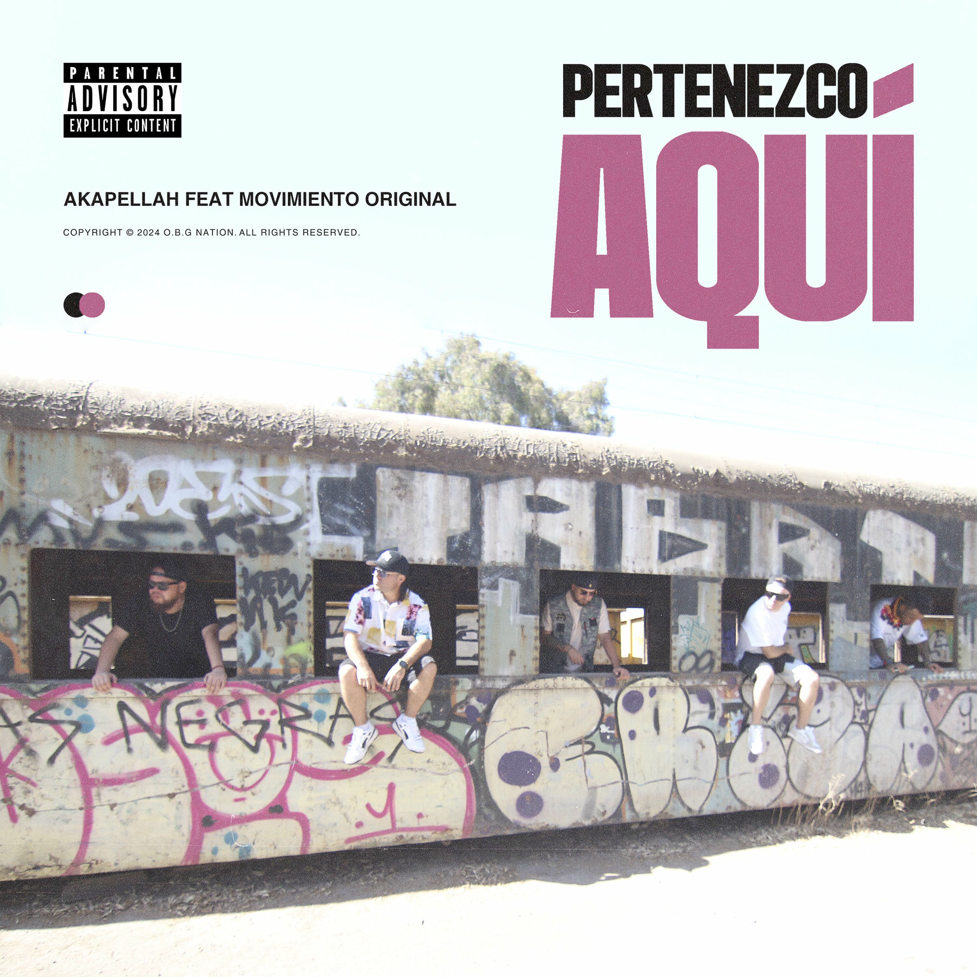 Album cover of Pertenezco Aquí