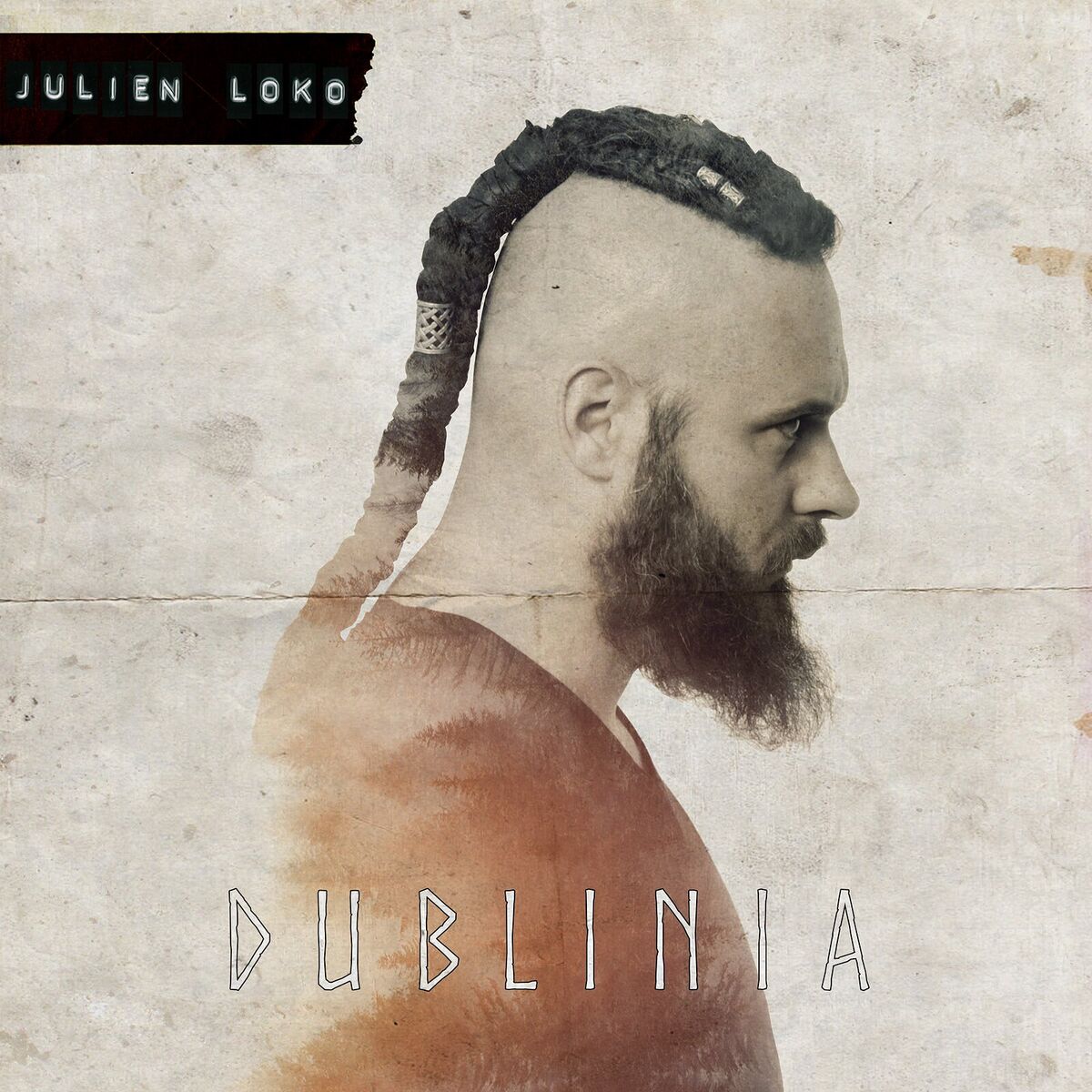 Album cover of Dublinia