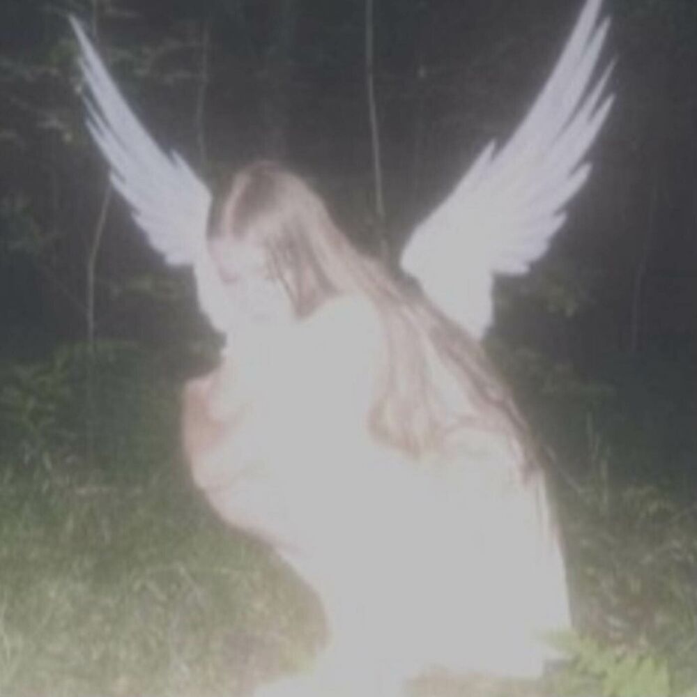 Picture of flyaway