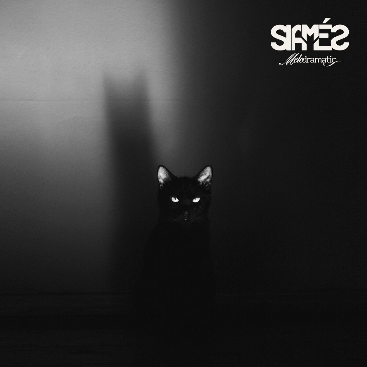 Album cover of Melodramatic