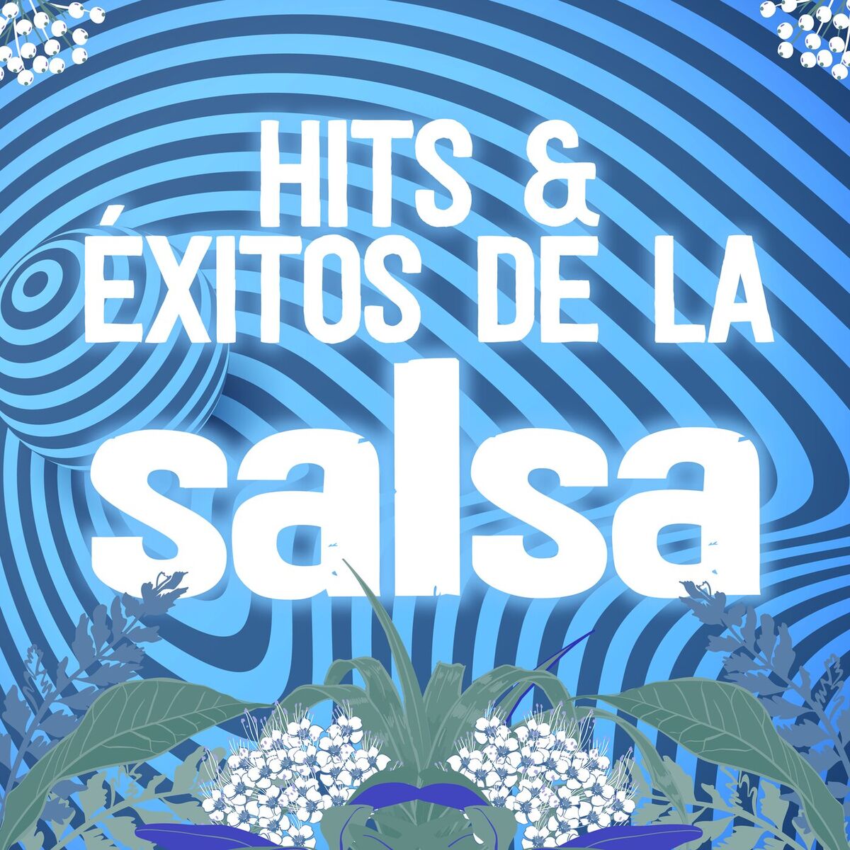 Album cover of Hits & Éxitos de la Salsa