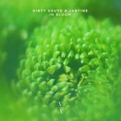 Cover of In Bloom