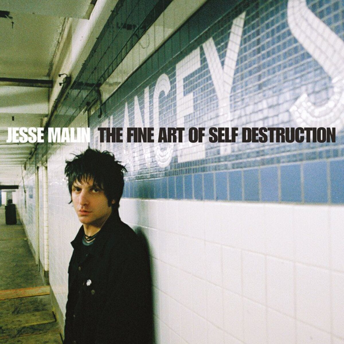 Album cover of The Fine Art Of Self Destruction (20th Anniversary Edition)