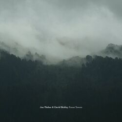 Cover of Forest Towers