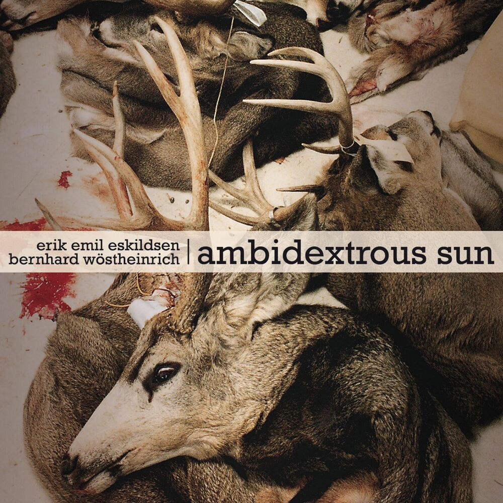 Picture of Ambidextrous Sun
