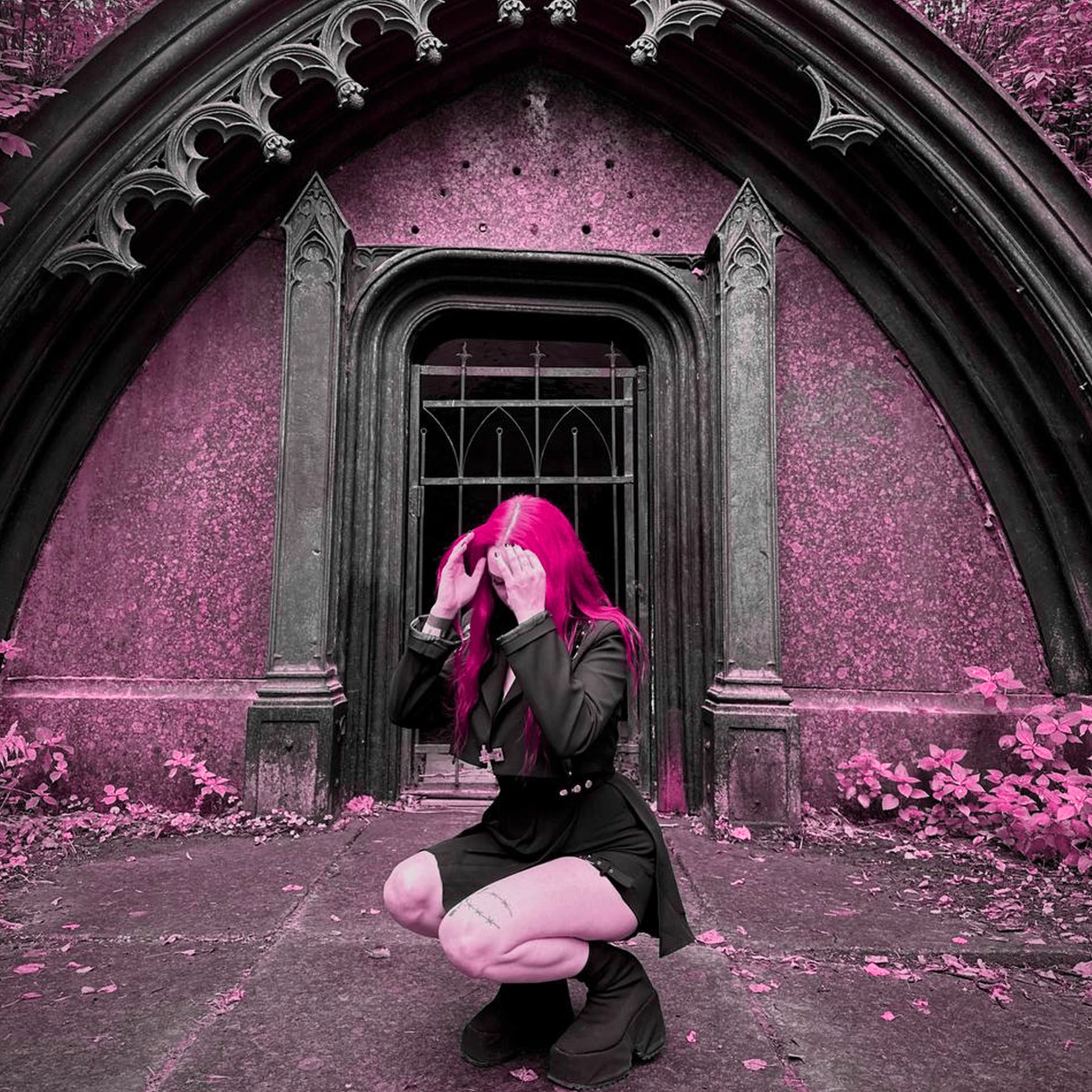 Album cover of Meine Liebe