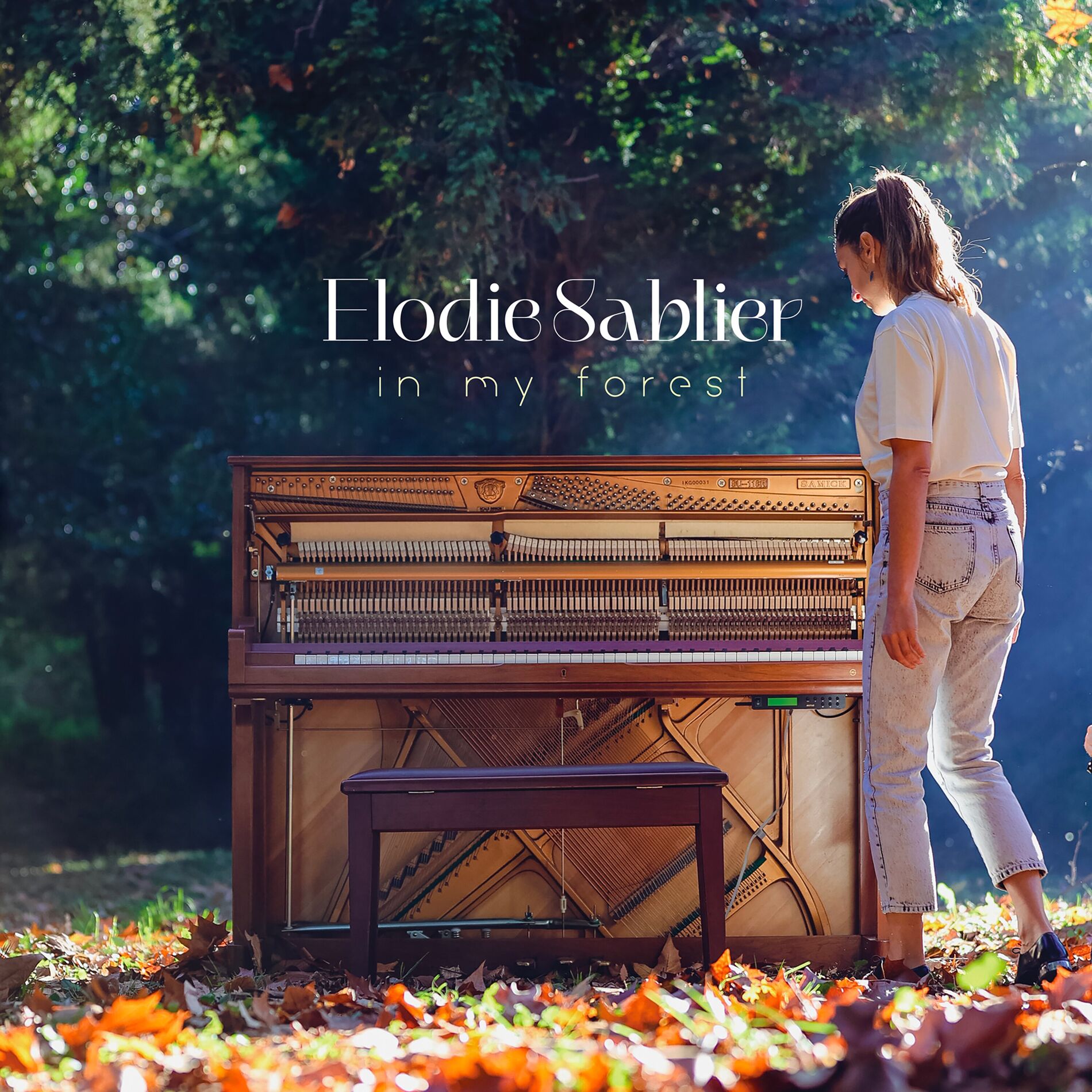 Album cover of In my forest
