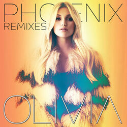Cover of Phoenix - The Remixes