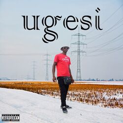 Cover of Ugesi