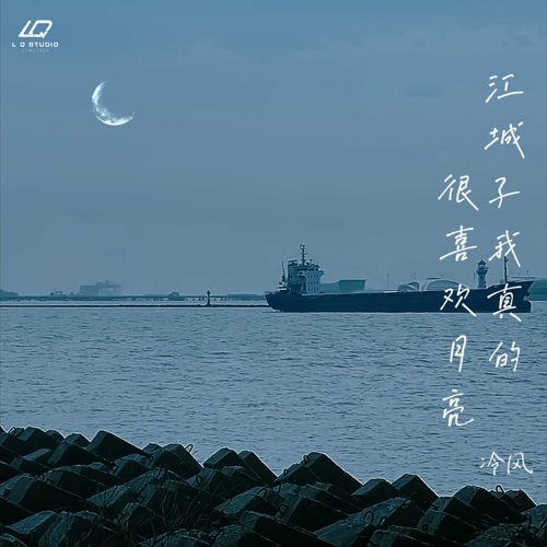 江城子 我真的很喜欢月亮
