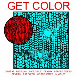 Cover of GET COLOR