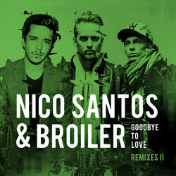 Cover of Goodbye To Love (Remixes II)