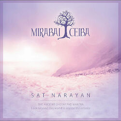 Cover of Sat Narayan