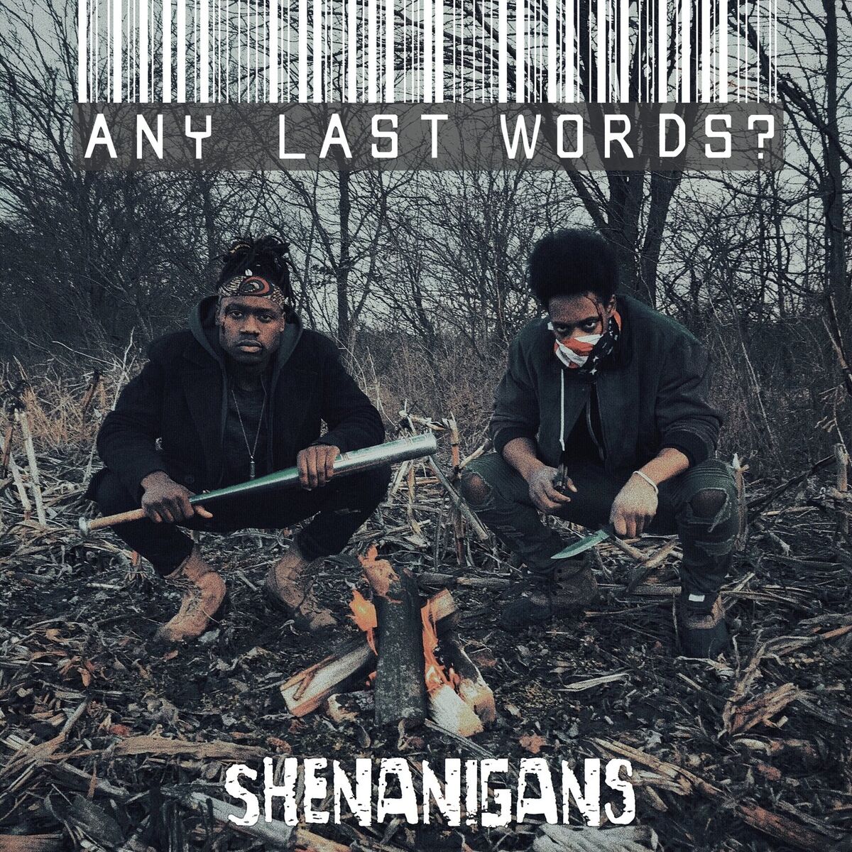 Album cover of Any Last Words?
