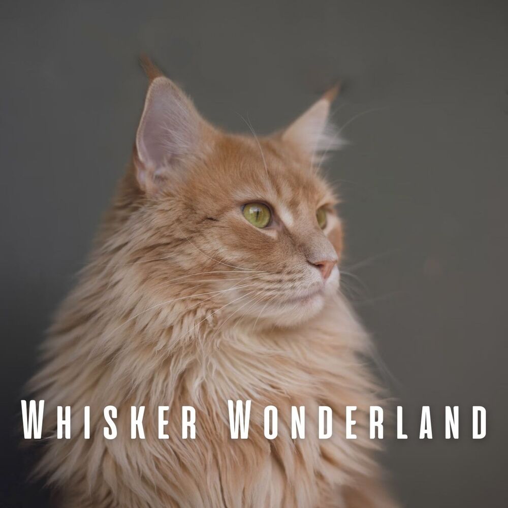 Picture of Whisker Wonderland: Calm Melodies for Cats