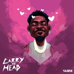 Cover of Carry for Head