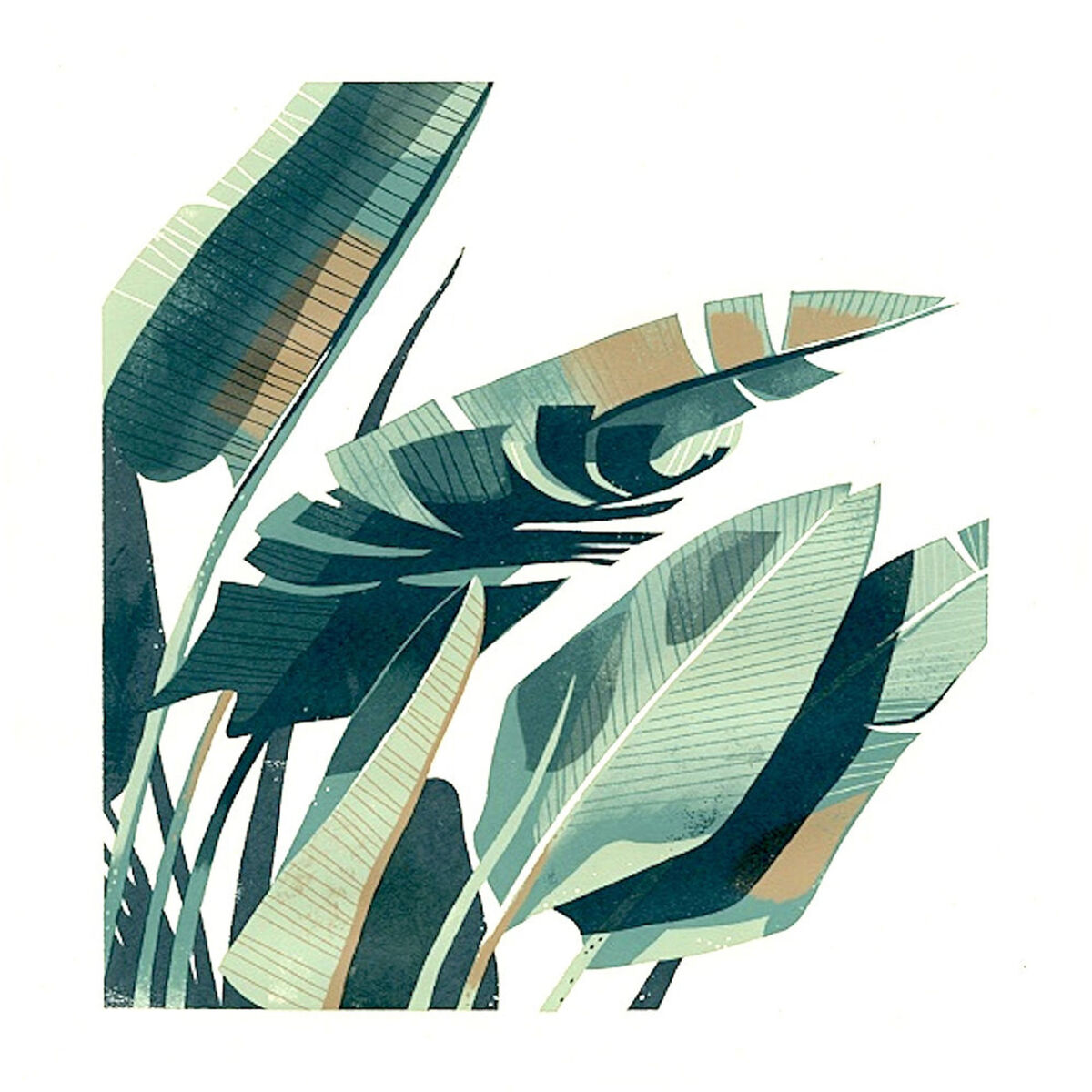 Green Assassin Dollar: albums, songs, playlists | Deezer