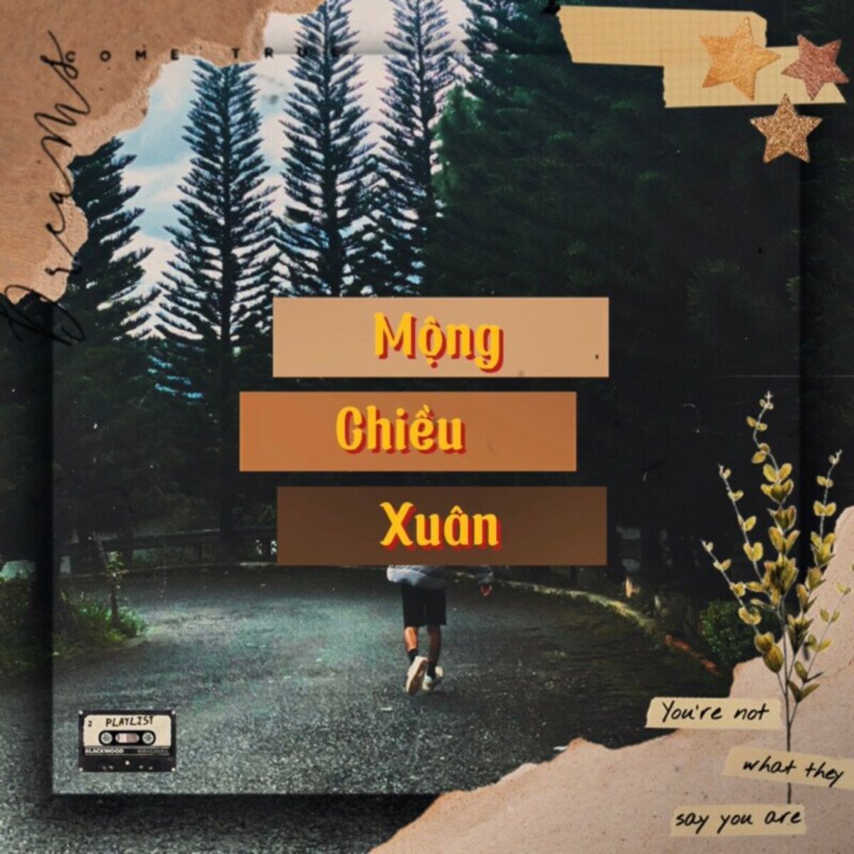 Album cover of Mộng Chiều Xuân