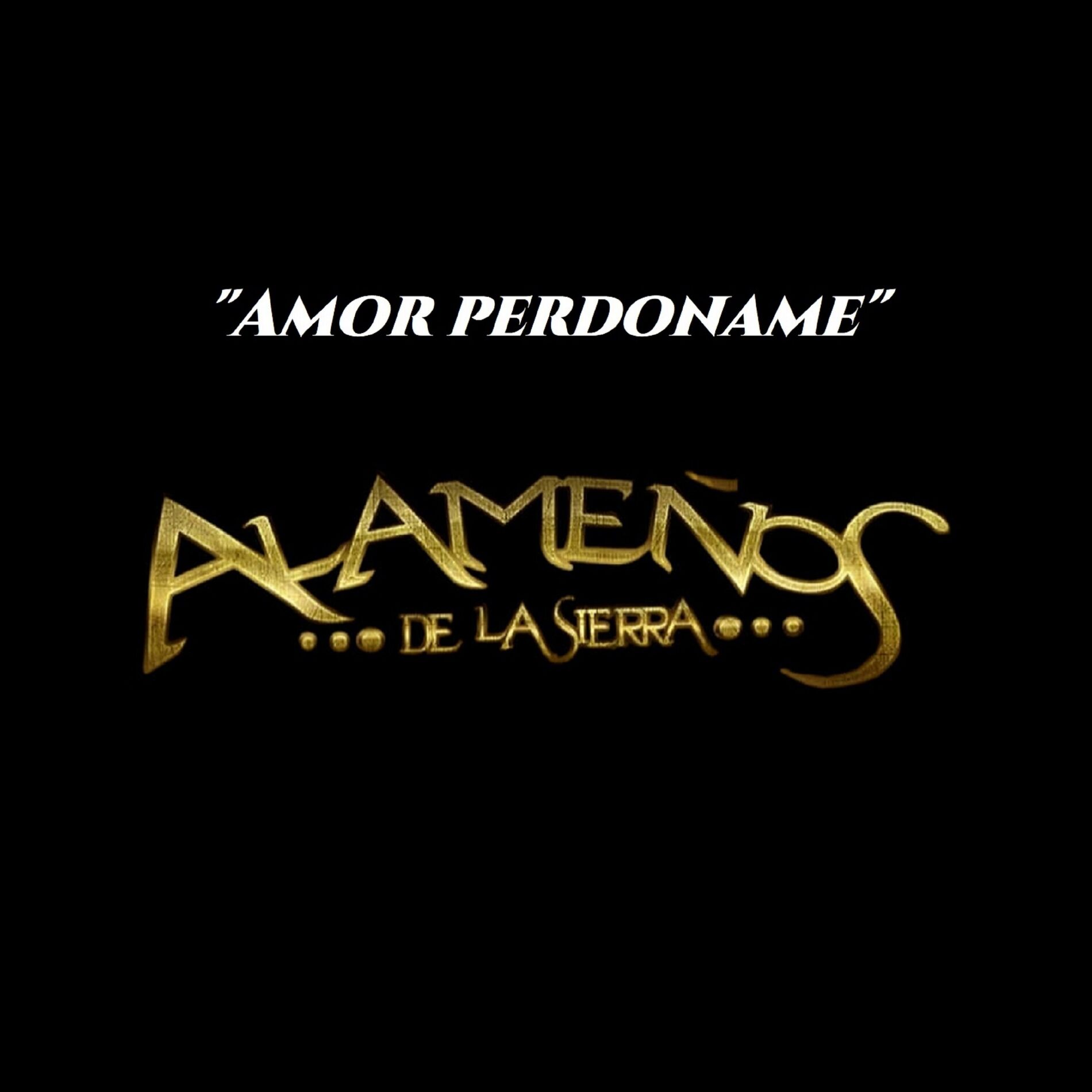 Album cover of Amor Perdoname