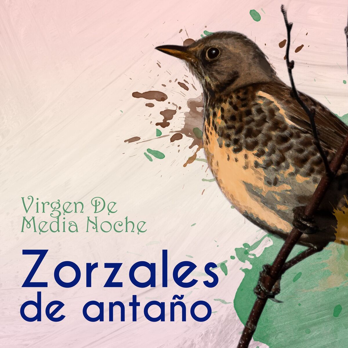 Album cover of Zorzales de Antaño… Virgen De Media Noche