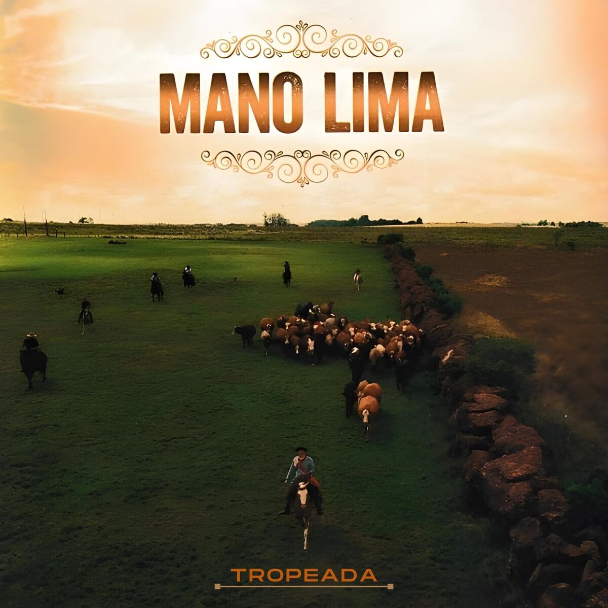 Album cover of Tropeada: Trajetória & Essência