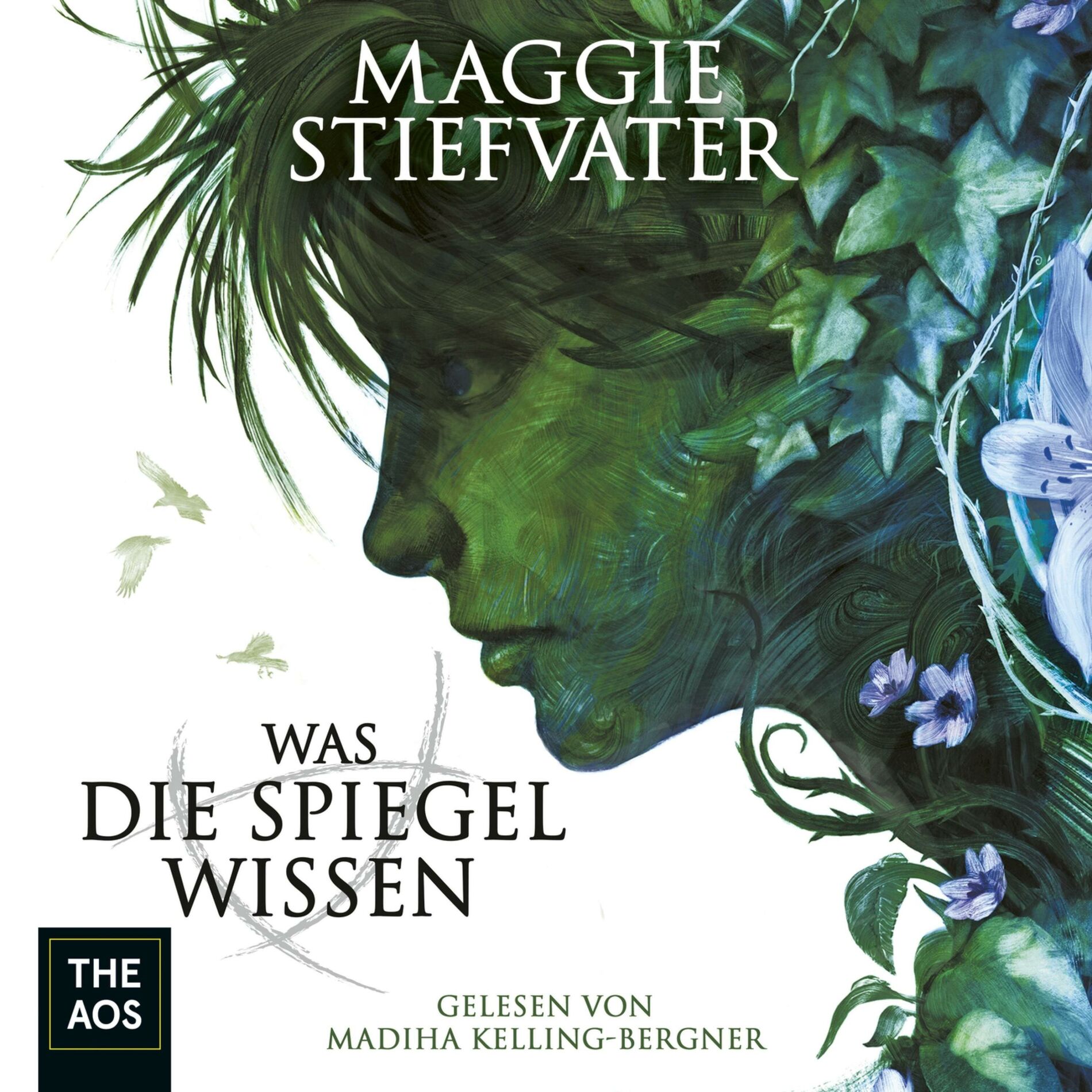 Album cover of Was die Spiegel wissen