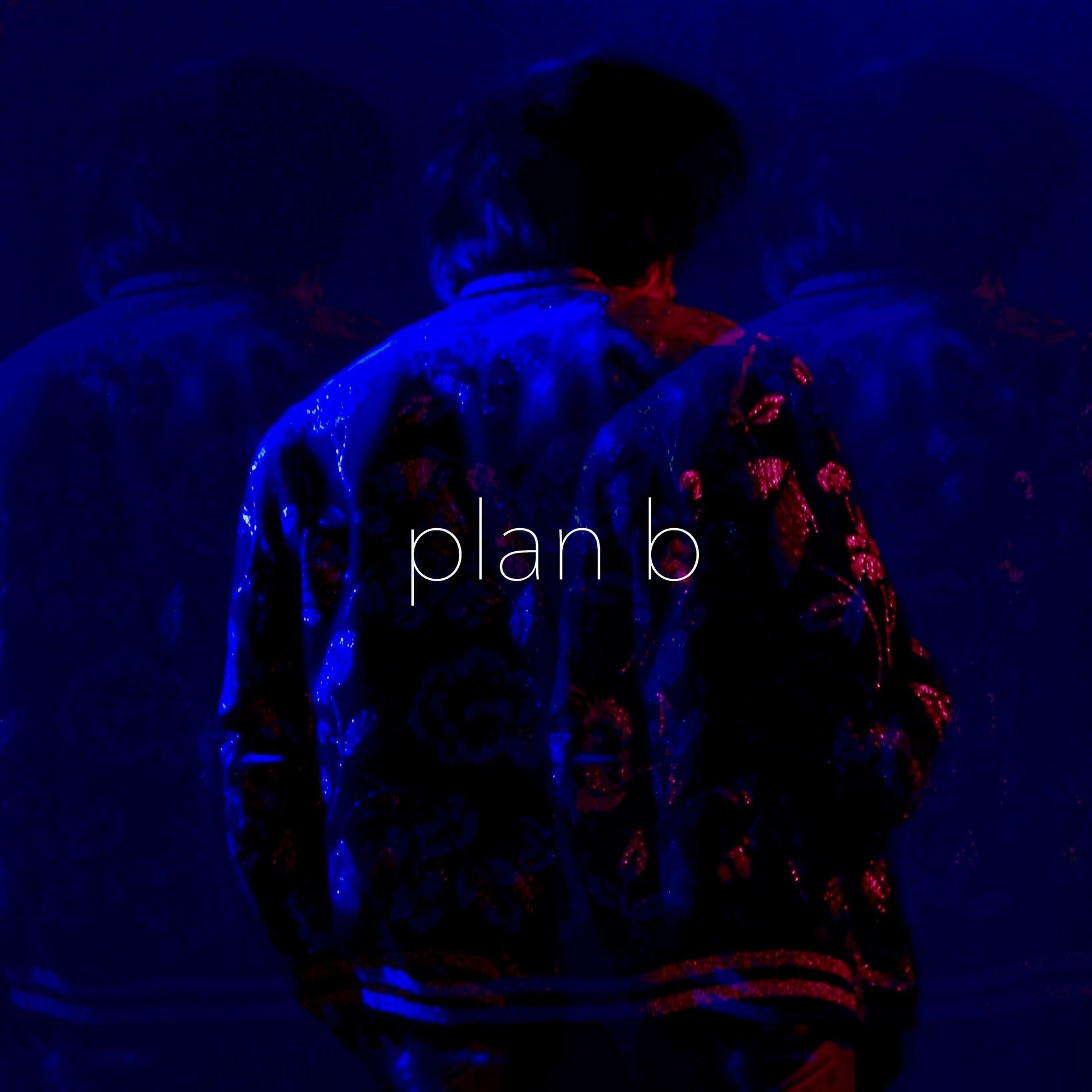 Album cover of Plan B