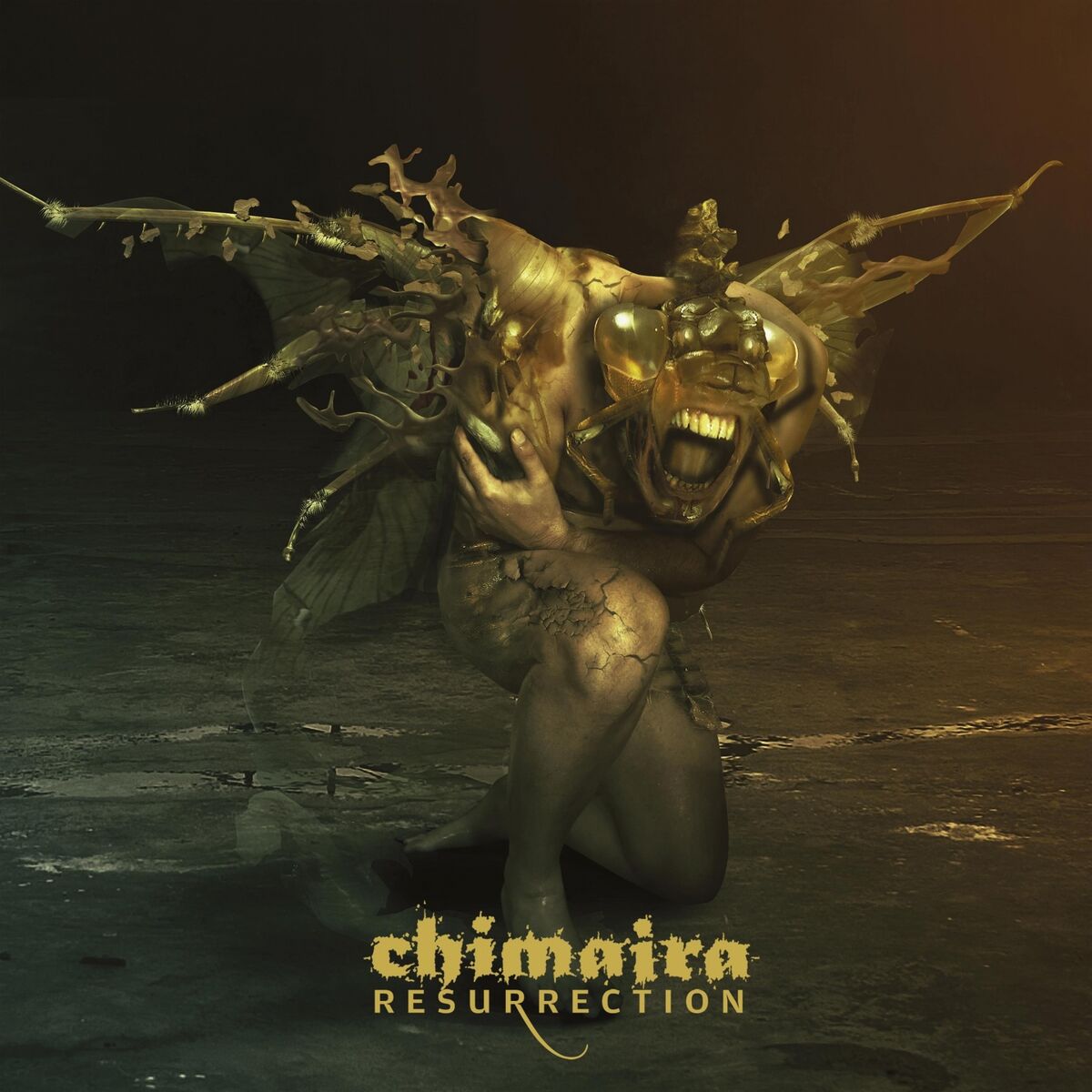 Album cover of Six