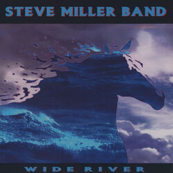 Cover of Wide River