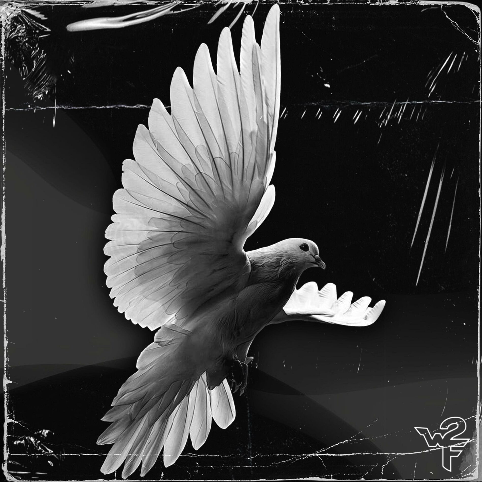 Album cover of Blessings Calling