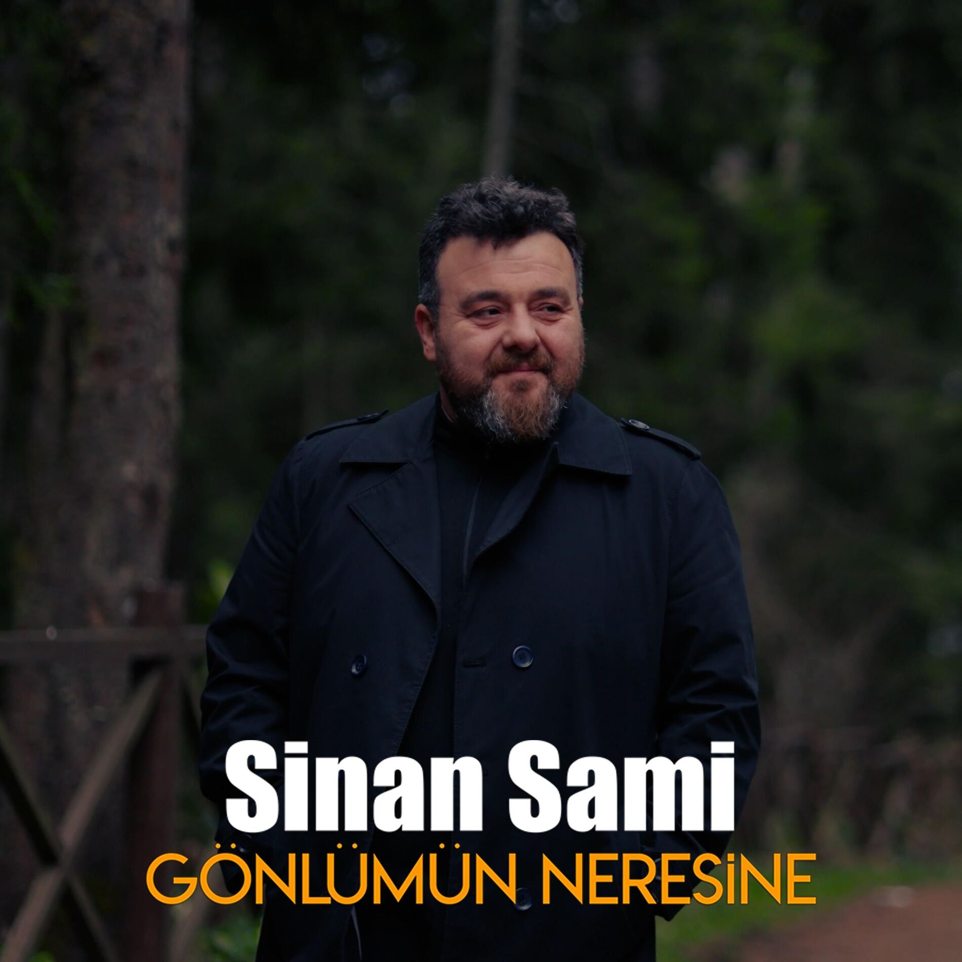 Album cover of Gönlümün Neresine