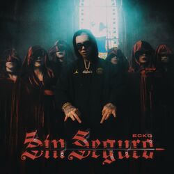 Cover of Sin Seguro