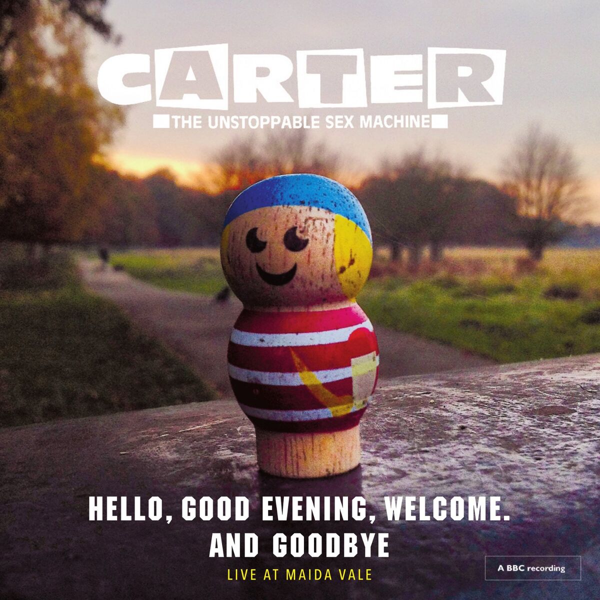 Album cover of Hello, Good Evening, Welcome. And Goodbye (Live)
