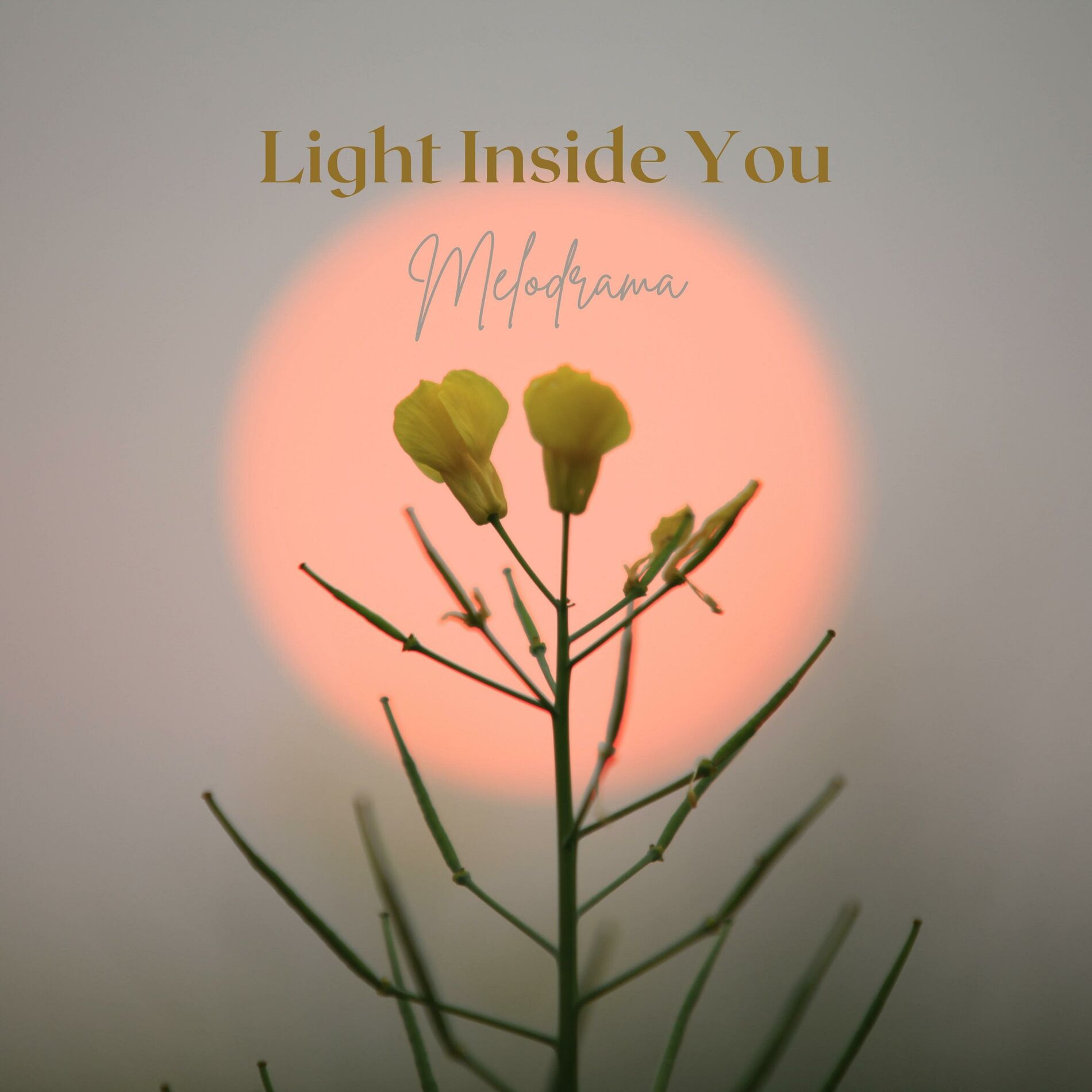 Album cover of Light Inside You