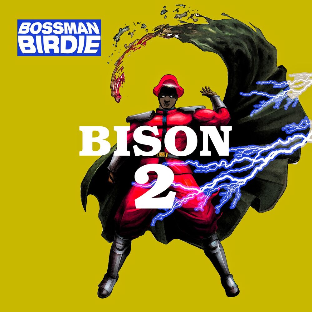 Picture of Bison 2