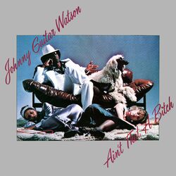 Cover of Ain't That A Bitch