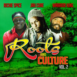 Cover of Roots and Culture, Vol.2
