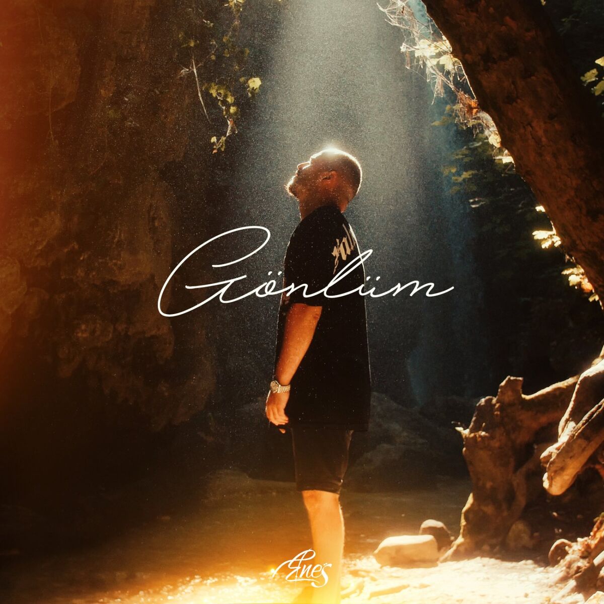 Album cover of Gönlüm