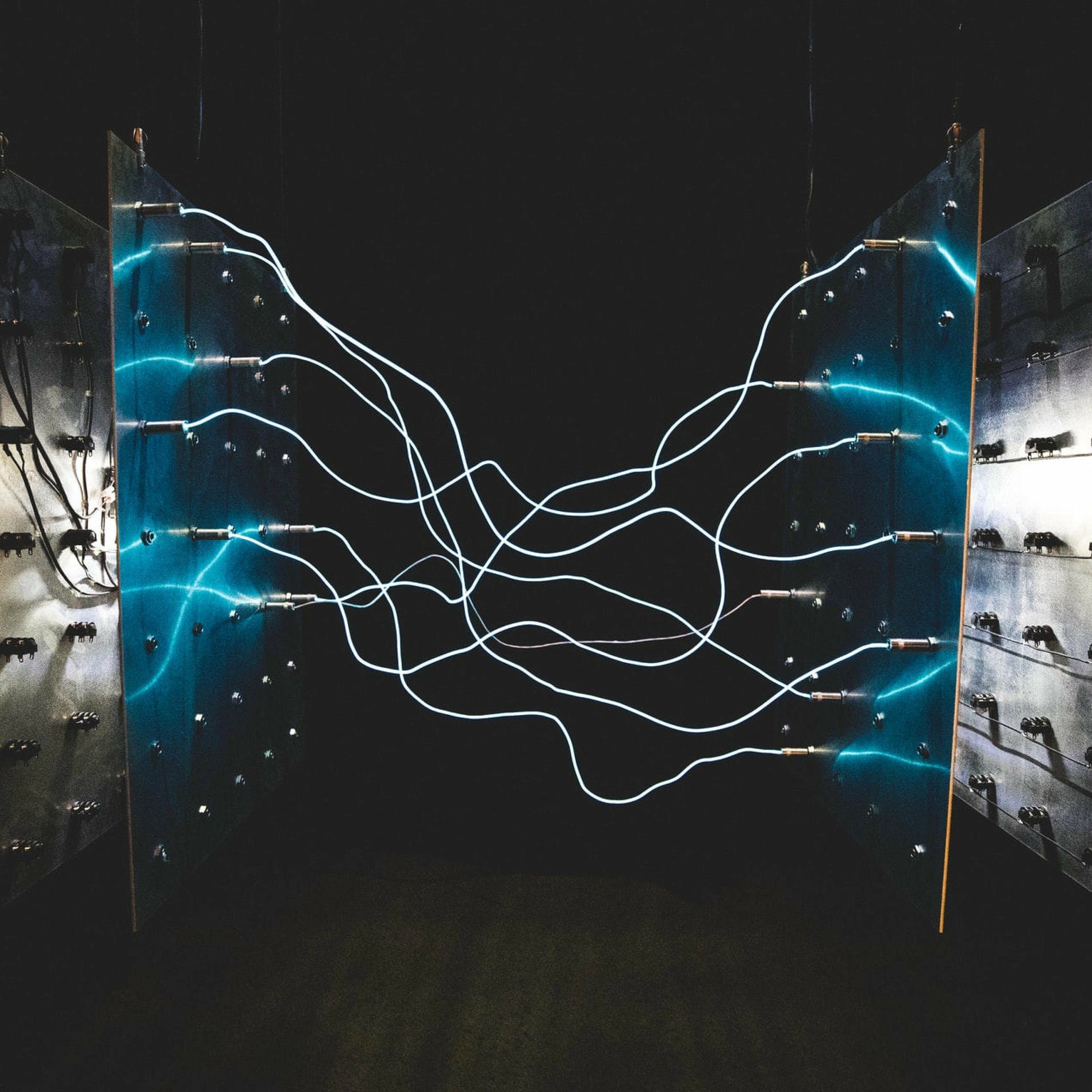 Album cover of Magnetized